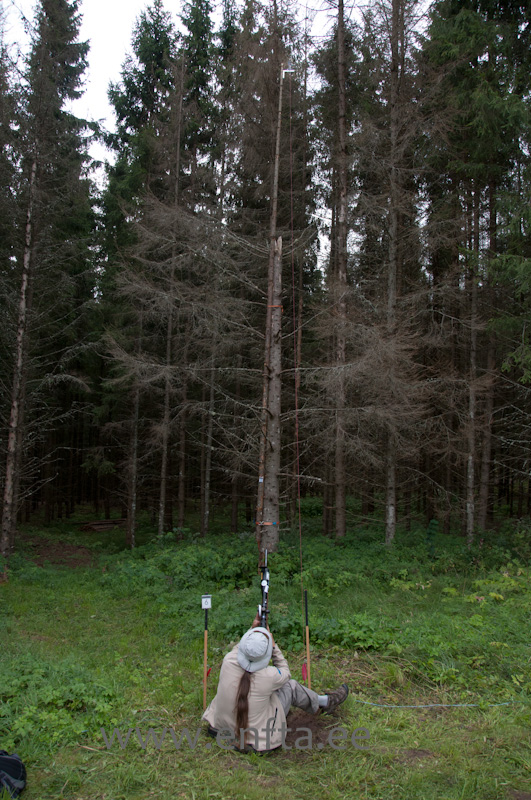 At 12 m a target up high with diameter 25 cm, go get it! Elmet Orasson EE,  Weihrauch HW 97 KT, Hawke SideWinder 8-32x56